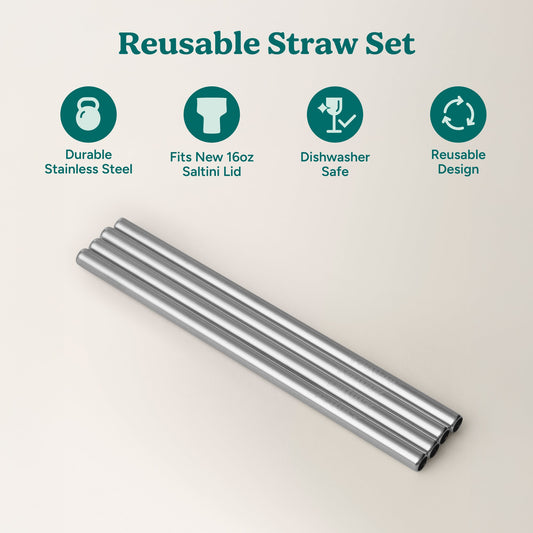 saltini-straw-set-c6 4PK_SaltiniStraws_SS-2.jpg